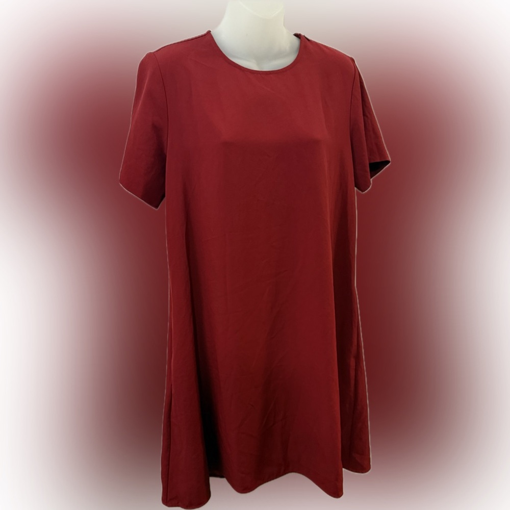 Everlane Vibrant Red Dress | Sz 8
